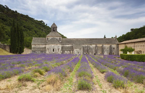 Abadía de Notre Dame de Senanque, Gordes, Provenza-Alpes-Costa de Marfil — Foto de Stock