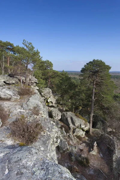 Görünüm Fontainebleau, Ile-de-France, Fransa — Stok fotoğraf