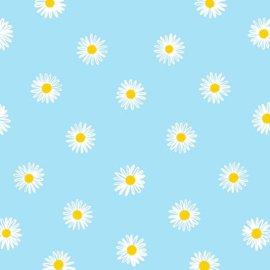 Mavi bahar arka planında beyaz renkli papatyalar.