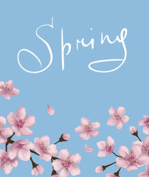 蓝色春光背景上的粉红色樱花和春光的题词 — 图库照片