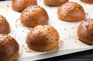 Tahtasında susam tohumu olan lezzetli yuvarlak çörekler. Tahta arka planda susam tohumlu ev yapımı tam buğday burger çörekleri.. 