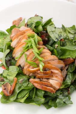 Soslu ördek göğsü. Ispanaklı ve otlu fırında tavuk göğsü. Ördek göğsünü kapat. İnce dilimlenmiş tavuk göğsü..