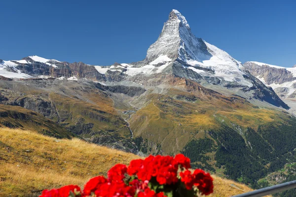 Landskap i schweiziska Alperna — Stockfoto