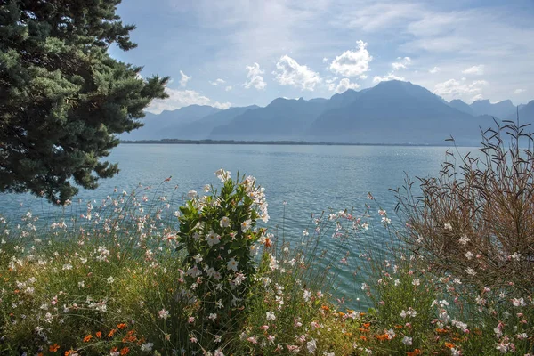 Schilderachtige oevers van het meer van Genève, Zwitserland — Stockfoto