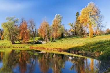 sonbahar manzara Pavlovsk Park, Saint Petersburg, Rusya Federasyonu