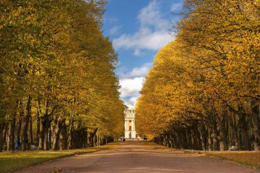 sonbahar manzara Pavlovsk Park, Saint Petersburg, Rusya Federasyonu