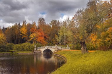 Pavlovsk Park, Saint Petersburg sonbahar manzara