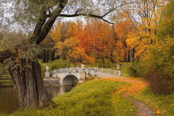 Podzimní krajina v Pavlovsk parku, Petrohrad — Stock fotografie