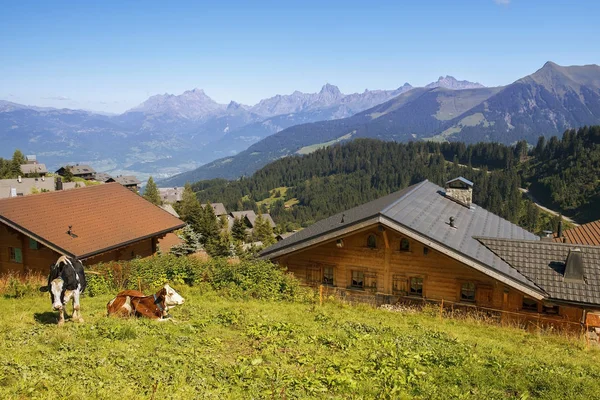Klein dorp in de Alpen, Zwitserland — Stockfoto