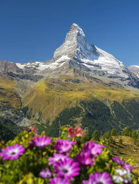 Pico da montanha Matterhorn nos Alpes Suíços — Fotografia de Stock
