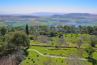 Jezreel Valley, alt Galilee, İsrail
