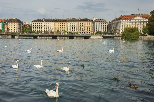 Argine del lago di Ginevra, Ginevra, Svizzera — Foto Stock