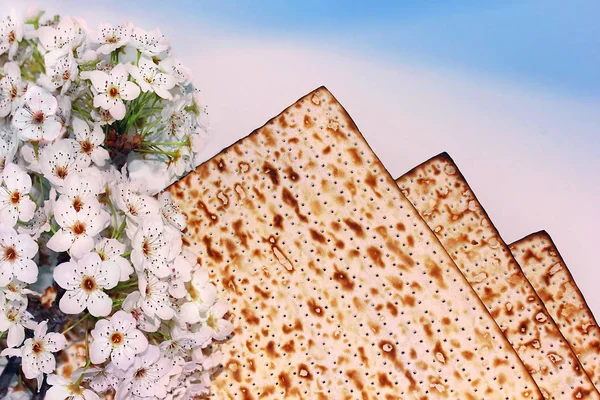 Holiday of Passover, flowers and matzo — Stock Photo, Image