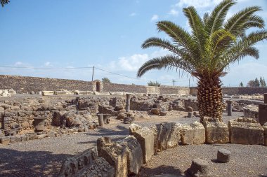 arkeolojik kazılar, Celile Denizi, Capernaum, İsrail