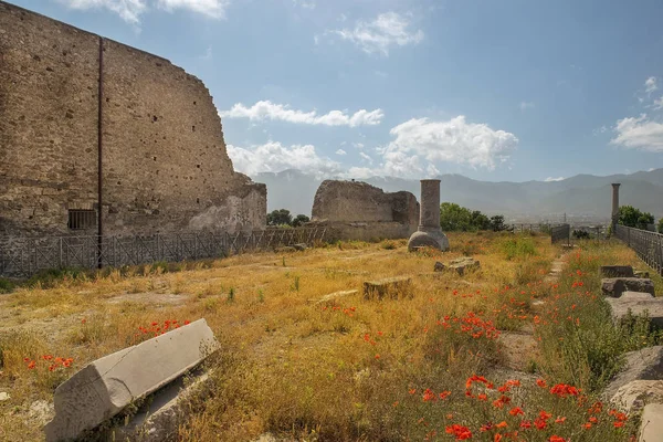 Regionie ruiny, wpisanego na listę światowego dziedzictwa UNESCO, Kampania na Pompei, Włochy — Zdjęcie stockowe