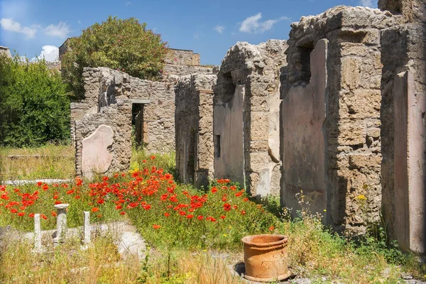 Ruinas Pompeya, Patrimonio de la Humanidad por la UNESCO, Campania, Italia — Foto de Stock