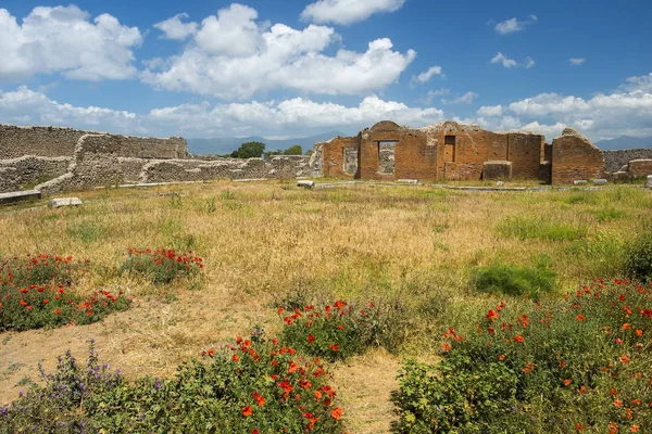 庞贝古城废墟，教科文组织世界文化遗产，坎帕尼亚意大利 — 图库照片