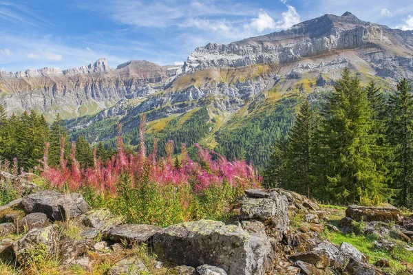 Paisagens pastorais nos Alpes Suíços — Fotografia de Stock