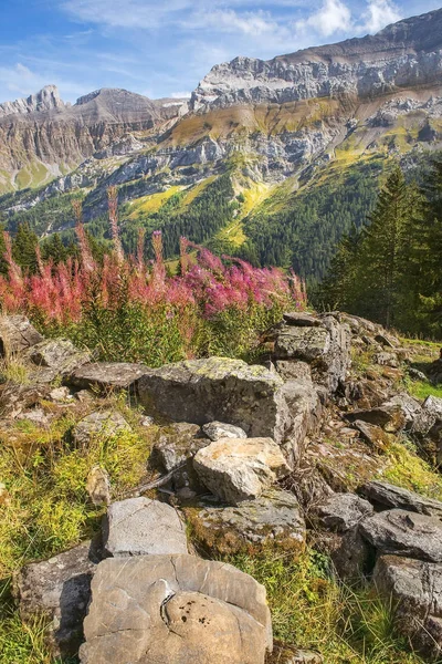 Paesaggi pastorali nelle Alpi svizzere — Foto Stock