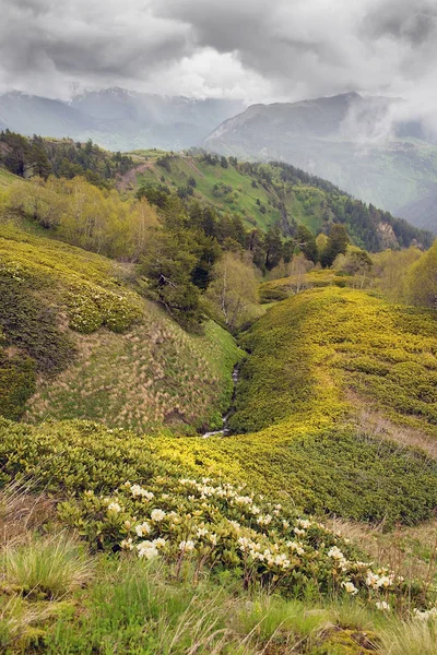 Kafkas Dağları, üst Svaneti, Georgia'da manzara — Stok fotoğraf