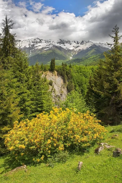 Paesaggio nelle montagne del Caucaso, Alta Svaneti, Georgia — Foto Stock