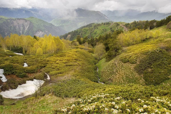 Landskap i Kaukasus bergen, övre Svanetien, Georgia — Stockfoto