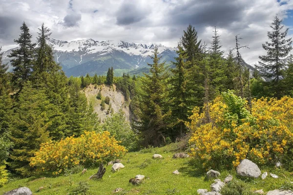 Krajina v Kavkazu, Horní Svanetie, Gruzie — Stock fotografie
