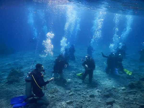 Buceadores flotantes en el Mar Rojo, golfo de Eilat, Israel —  Fotos de Stock