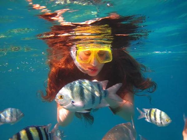 Młoda Dziewczyna Pływanie Pod Wodą Wśród Tropikalnych Ryb Morze Czerwone — Zdjęcie stockowe