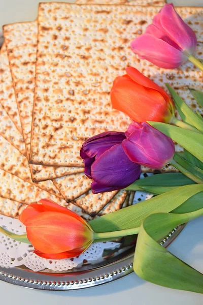 joyful spring festival - jewish holiday of Passover and its attributes, with matzo and spring tulips - Happy Passover