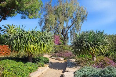 pitoresk Park Ramat Hanadiv Memorial Gardens köşede nereye gömüldüğü Baron Edmond de Rothschild ve onun karısı Adelaide, İsrail