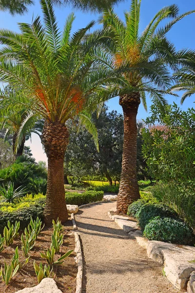 Pittoreska Hörn Den Park Ramat Hanadiv Memorial Gardens Där Begravd Royaltyfria Stockbilder