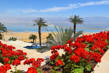 Dead Sea, Ein Bokek, bir çare İsrail kıyısında pitoresk manzaraya