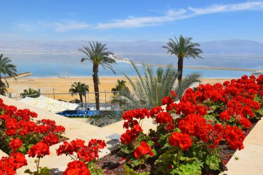 Dead Sea, Ein Bokek, İsrail - 18 Mart: Görünüm Beach, resort Köyü Ein Bokek üzerinde 18 Mart 2018 yılında Ein Bokek, Dead Sea, Israel