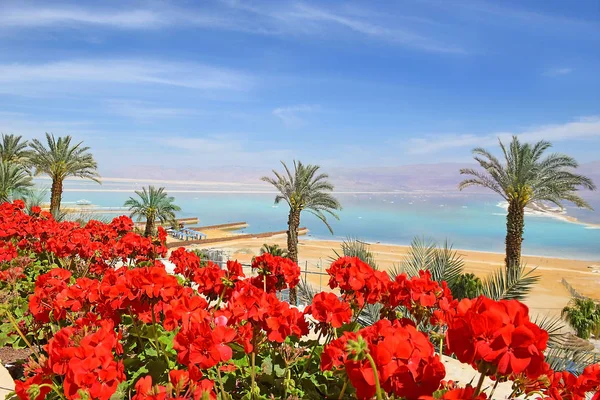 风景如画的风景在死海 静脉艾恩波克克 在以色列岸边的度假胜地 — 图库照片