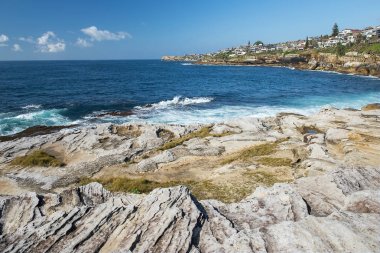 Sydney coastal walk: path from Coogee to Maroubra, landscape with the ocean, Australia clipart
