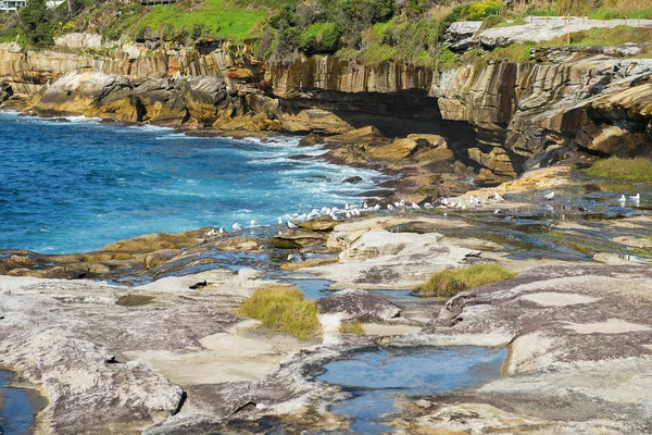 Sydney Passeio Costeiro Caminho Coogee Para Maroubra Paisagem Com Oceano — Fotografia de Stock