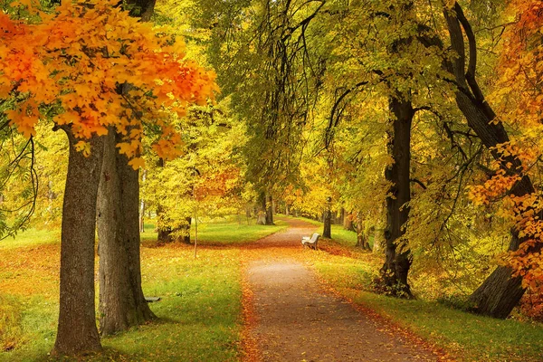 Goldener Herbst Öffentlichen Park Lomonosov Oranienbaum Heiliger Petersburg Russland — Stockfoto