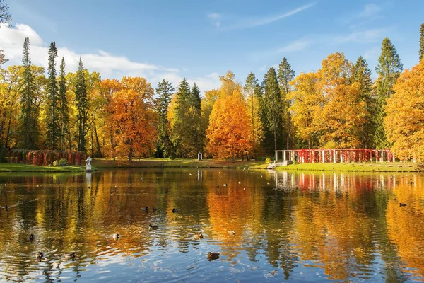 Gyllene Höst Lomonosov Oranienbaum Offentlig Park Sankt Petersburg Ryssland — Stockfoto