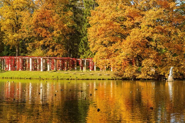 Złota Jesień Parku Publicznym Łomonosow Oranienbaum Petersburg Rosja — Zdjęcie stockowe