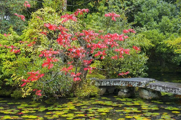 京都公園の美しい池と石の橋のある秋の風景 — ストック写真