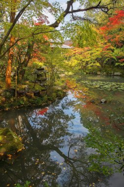 Kyoto Park, Japonya 'da sonbahar manzarası