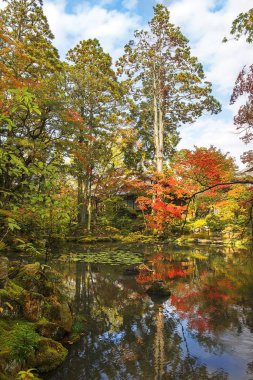 Japonya 'nın Kyoto parkındaki pitoresk göletli sonbahar manzarası