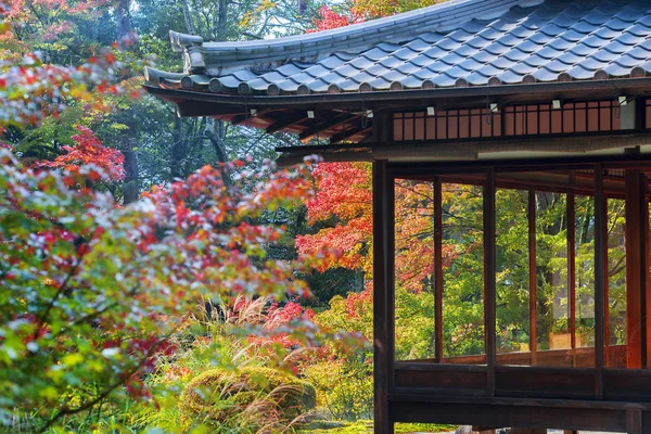 Восени Мальовничому Парку Кіото Японія — стокове фото