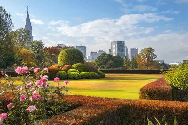 Tokio Japonia Listopada 2019 Pejzaż Miasta Tokio Widok Centralną Dzielnicę — Zdjęcie stockowe