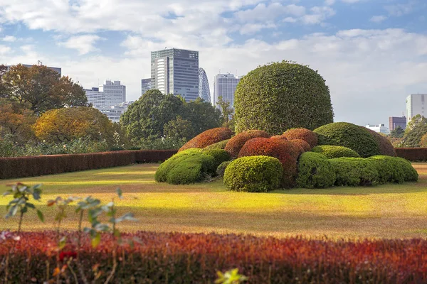 Tokio Japonia Listopada 2019 Pejzaż Miasta Tokio Widok Centralną Dzielnicę — Zdjęcie stockowe
