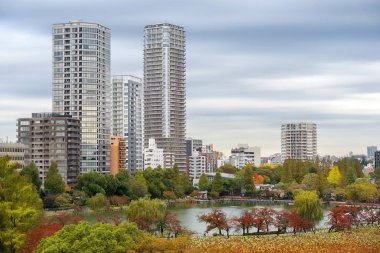 Tokyo şehrinin manzarası, modern Tokyo 'nun yerleşim yeri, bir şehir parkından, Shinjuku Gyoen.