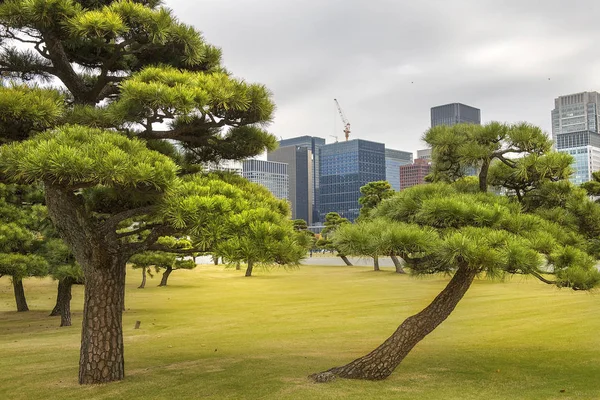 Tokió Városképe Kilátás Modern Tokió Lakónegyedére Shinjuku Gyoen Városi Közparkból — Stock Fotó