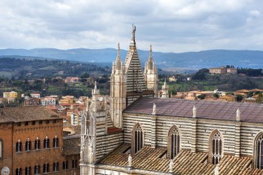 Siena Katedrali (İtalyanca: 