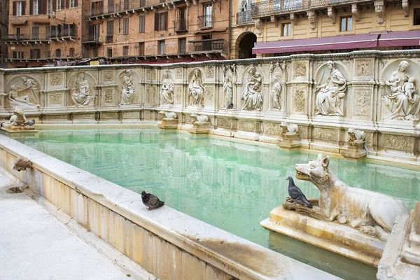 Fonte Gaia Fonte Monumental Praça Piazza Del Campo Cidade Siena — Fotografia de Stock